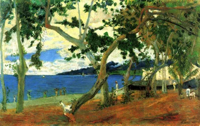 Am Meer, Martinique